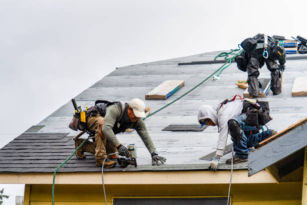 Professional Roof Replacement technician working in Minotola, NJ